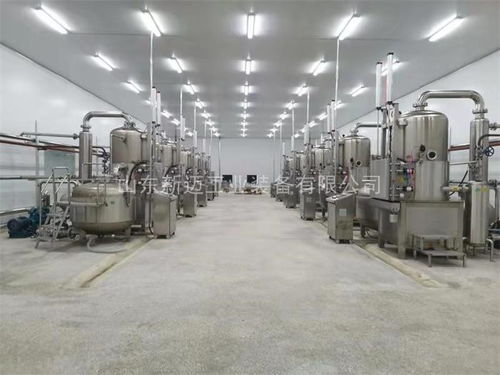 大棗真空油炸機(jī)加工設(shè)備廠家供應(yīng) 山東新邁工業(yè) 推薦商家 高清圖片 高清大圖