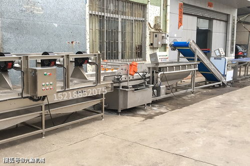 凈菜鮮切加工流水線設備大全